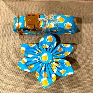 Turquoise dog collar size M